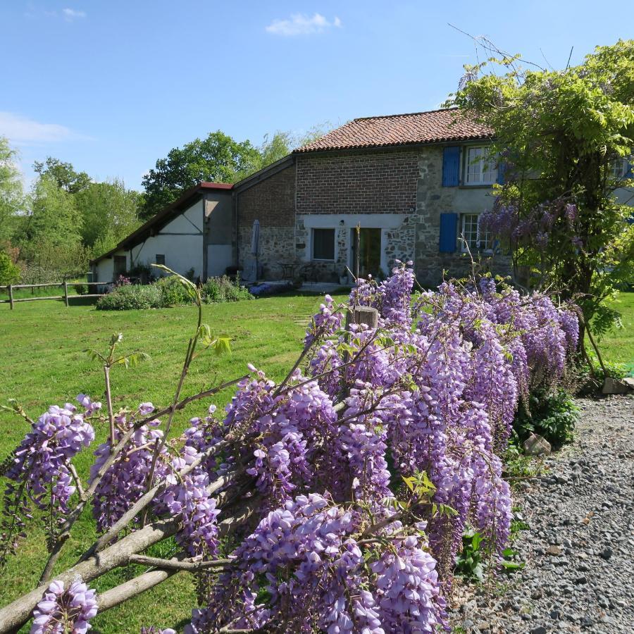Serenite Verte A La Tuilerie Accommodation La Bazeuge Buitenkant foto