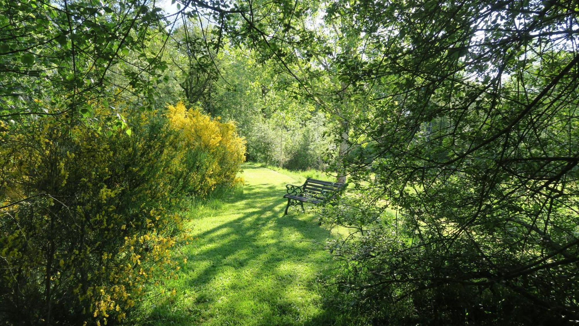 Serenite Verte A La Tuilerie Accommodation La Bazeuge Buitenkant foto